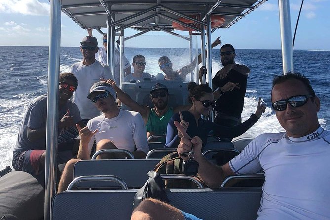 Bora Bora Whale Watching - Food, drinks, and equipment included