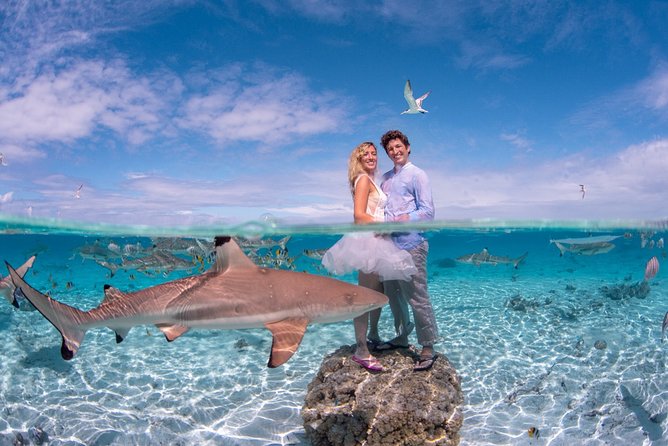 Combo Diving and Snorkeling Full Day Tour - Guides who shape the day