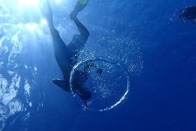 Combo Diving and Snorkeling Half-Day Tour - Anau and the chance to see manta rays