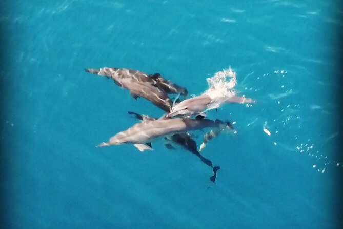 Combo Jet Ski Excursion + 4X4 Safari - Jet ski time with Moorea Watersport