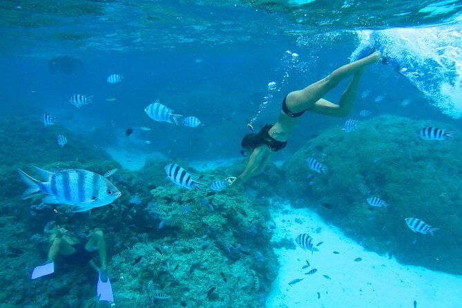 Combo snorkeling + motu lunch + jet ski group tour full day - Why this six-hour combination makes sense