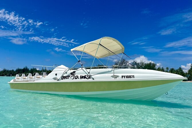 Crazy sea horse Bora Bora Comfortable boat, snorkeling and lunch - Why this five-hour lagoon trip feels different