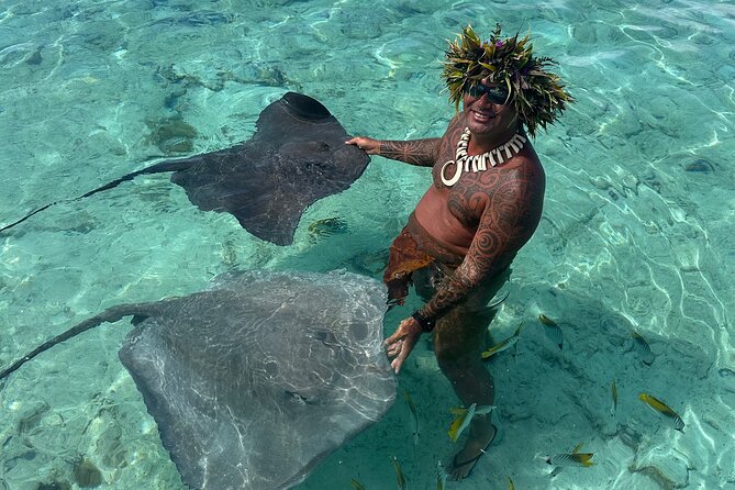 Crazy sea horse Bora Bora Comfortable boat, snorkeling and lunch - Snorkeling with rays, sharks, and tropical fish
