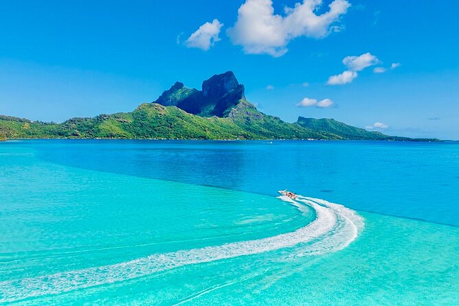 Crazyseahorseborabora Comfortable boat , sensational snorkeling . - Who Will Enjoy This Bora Bora Tour Most