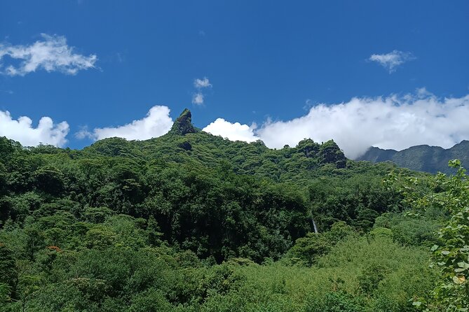 Découvrez le Mana durant la traversée de Tahiti en 4x4 Safari - What the $140.44 price buys you