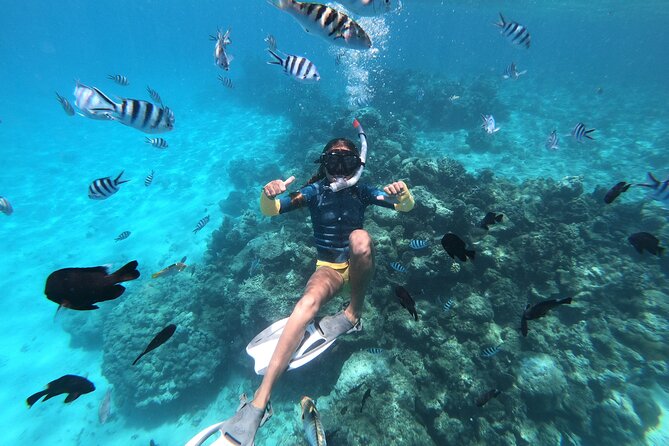 DEEP SEA FISHING 1/2 day (private group) - Who will enjoy this fishing trip most