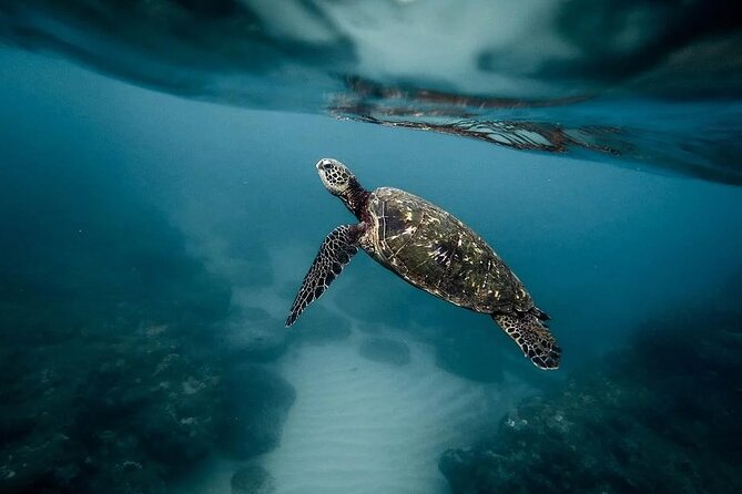 Discover the Beauty of Polynesian Waters by Boat and Snorkeling - Leaving Punaauia for the Sapinus coast