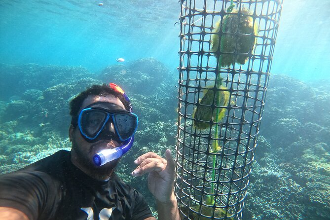 Discover the black pearl in Bora Bora - Visiting the oyster lines in the lagoon