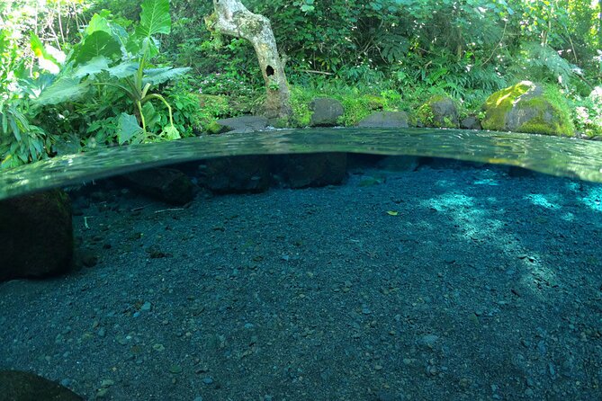 Discovering the emblematic sites of Tahiti - Taravao offers a choice between views and surf