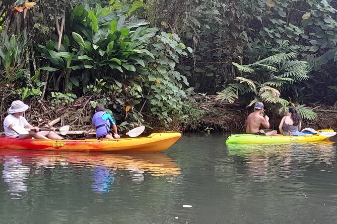 Discovery in Kayaking of the Faaroa River in Raiatea - Key points to know before booking