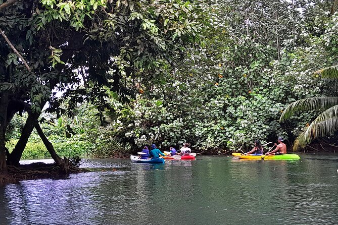 Discovery in Kayaking of the Faaroa River in Raiatea - The river setting is the attraction