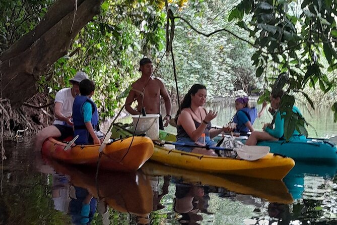 Discovery in Kayaking of the Faaroa River in Raiatea - Cancellation, weather, and booking advice