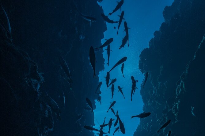 Double Diving Adventure Exploration for Certified Divers - Booking Early and Handling Weather