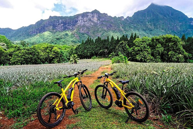 E-Bike Moorea Electric Bike Rental Moorea - The Moorea details worth knowing
