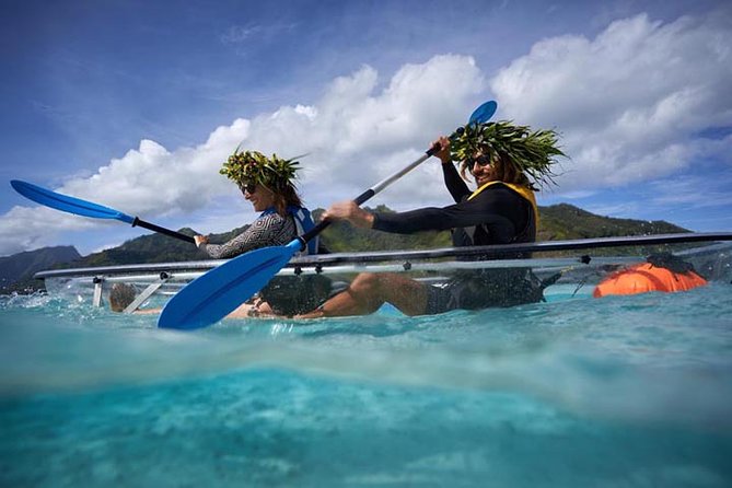 Eco guided excursion to the lagoon of Moorea in transparent kayak 1/2 day morning - Is $91.10 a fair price?