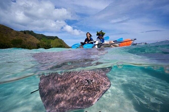 Eco guided excursion to the lagoon of Moorea in transparent kayak 1/2 day morning - Paddling between two Motus