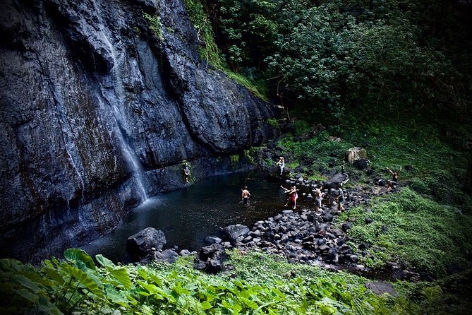 Enjoy Moorea Private day tour - A private beach lunch with island flavor