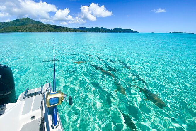 Exploration, Taha'a Lagoon Tour by Private Boat - Key points to know before you book