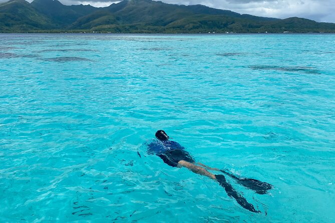 Exploration, Taha'a Lagoon Tour by Private Boat - Is $800 a fair price?