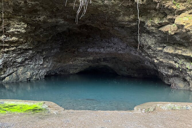 Explore Tahiti in depth in a day - A two-hour local lunch in Faaone