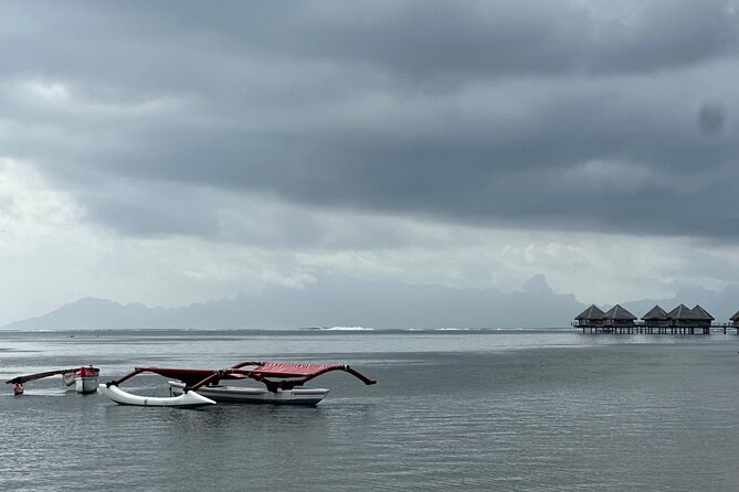 Explore Tahiti in depth in a day - Arahurahu Marae and Tahiti’s sacred past