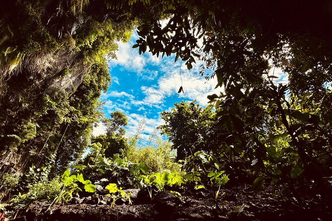 Explore Tahiti Nui, its landscapes and iconic sites. - Why this tour works for a short stay in Tahiti
