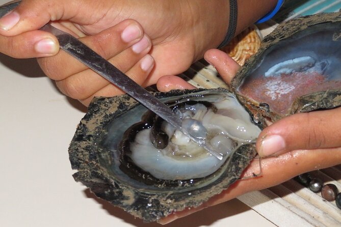 Explore the Vanilla Island Full-Day Tour to Taha’a from Bora Bora - Ia Ora Na Pearl Farm explains black pearls