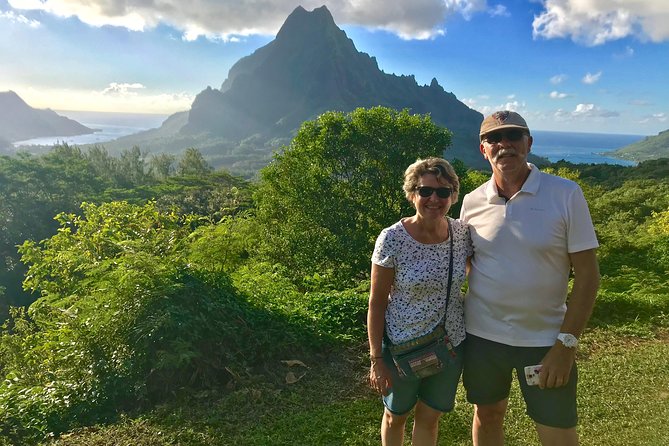 Franckyfranck Tours Moorea - Half day Tours - Pineapple fields show Moorea at ground level