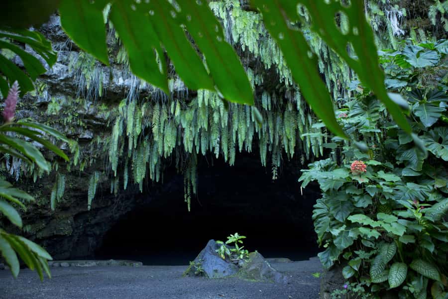 From Papeete: Tahiti Highlights Full-Day Private Tour - Vaipahi Water Gardens offer the day’s quietest walk