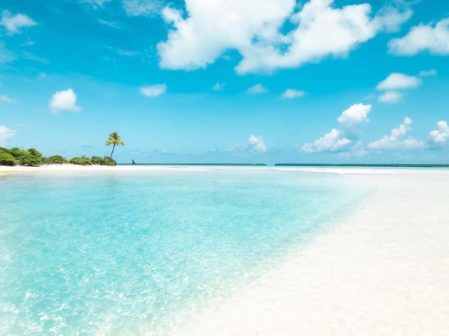 From Tahiti: Tetiaroa Island Tour by Sailing Catamaran - A generous local lunch back on the boat