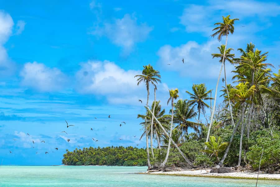 From Tahiti: Tetiaroa Island Tour by Sailing Catamaran - Meeting at 5:45 AM in Papeete