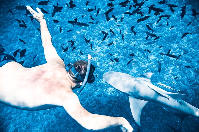 Full-Day Bora Bora Lagoon Cruise Including Snorkeling with Sharks and Stingrays - What $158.76 Includes