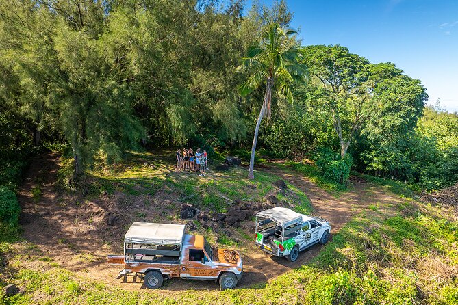 Full Day Combo 4X4 Adventure Tour & Motu FANFAN Pass with Buffet - Faanui’s marae, plants, fruit, and pareos