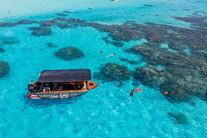 Full Day Eco Snorkeling & Traditional BBQ Lunch on a Motu - The guide team makes the difference