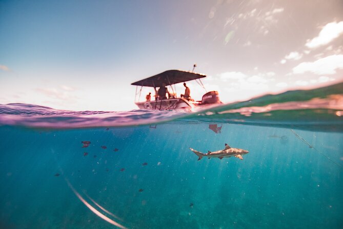 Full Day Eco Snorkeling & Traditional BBQ Lunch on a Motu - Who will enjoy this tour most?