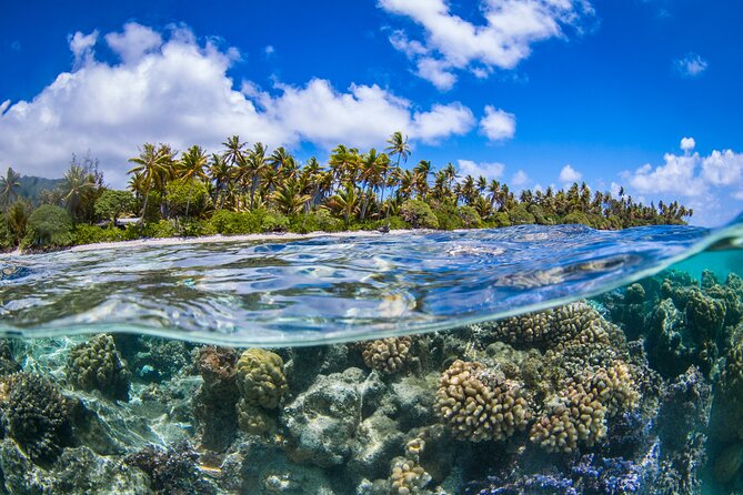 Full Day Lagoon Group Tour in Bora Bora with Lunch - Is $184.21 good value?