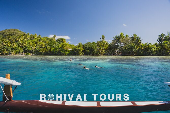 Full-day Lagoon Safari Tour with Lunch in Bora Bora - Shared tour - Stop three: coral gardens and reef fish