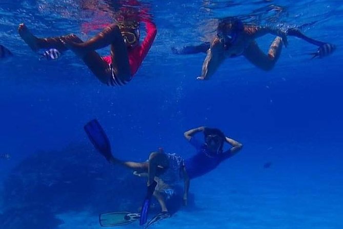 Full-Day Private Boat Tour of Bora Bora Lagoon with Snorkel - Rays, manta rays, sharks, and possible dolphins