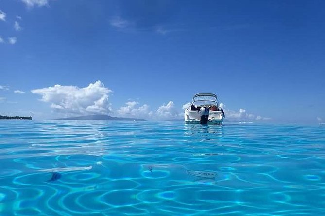 Full-Day Private Boat Tour of Bora Bora Lagoon with Snorkel - What guides Matt and Aimee add