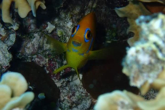 Full-Day Private Boat Tour of Bora Bora Lagoon with Snorkel - Who will enjoy this most?