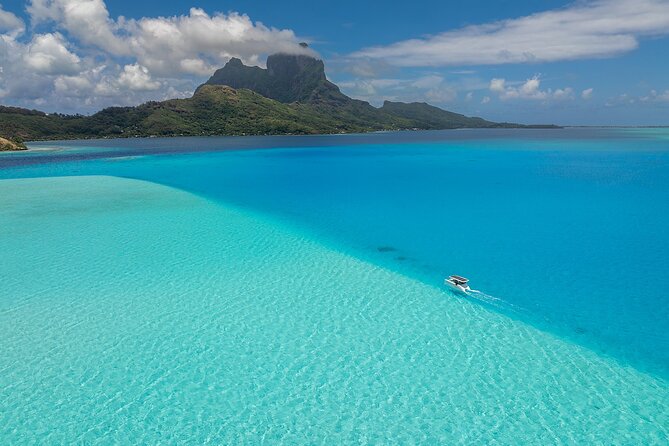 Full Day Solar Boat–Explores Bora Bora at the Rhythm of the Lagoon - Stop five: leopard rays and more marine life