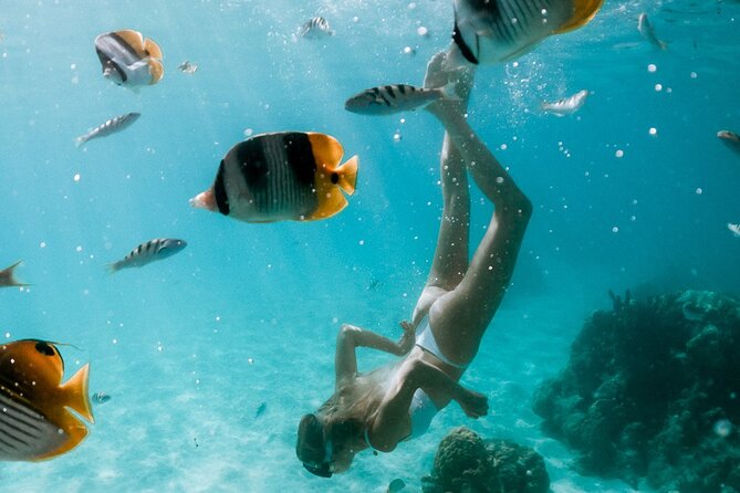 Full Day Tour : Moorea Snorkeling & Sunset Cruise on a Catamaran named Taboo - Why Taboo’s Small Wooden Catamaran Matters