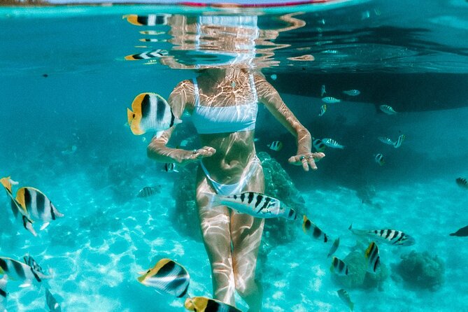 Full Day Tour : Moorea Snorkeling & Sunset Cruise on a Catamaran named Taboo - What Each Snorkeling Stop Adds