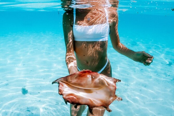 Full Day Tour : Moorea Snorkeling & Sunset Cruise on a Catamaran named Taboo - A Break With Fruit, Juice, Water, and Maitais