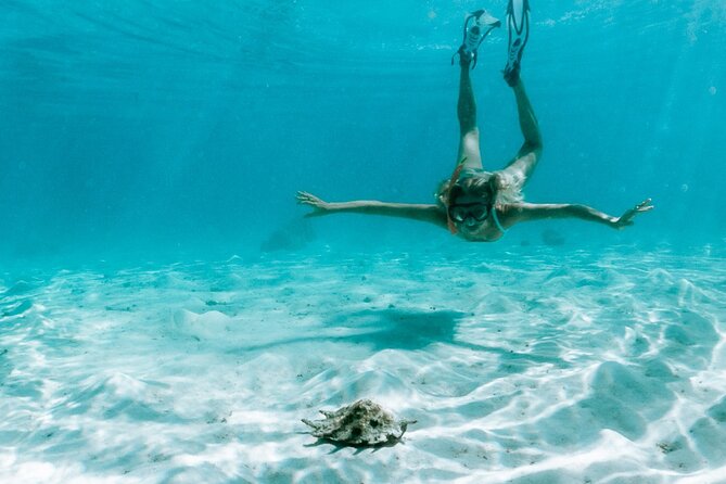 Full Day Tour : Moorea Snorkeling & Sunset Cruise on a Catamaran named Taboo - Price, Group Size, and Overall Value
