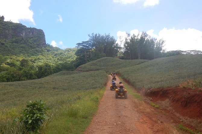 Grand Tour Quad Excursion in Moorea (Single or Two-Seater) - How much value do you get for $134.33?