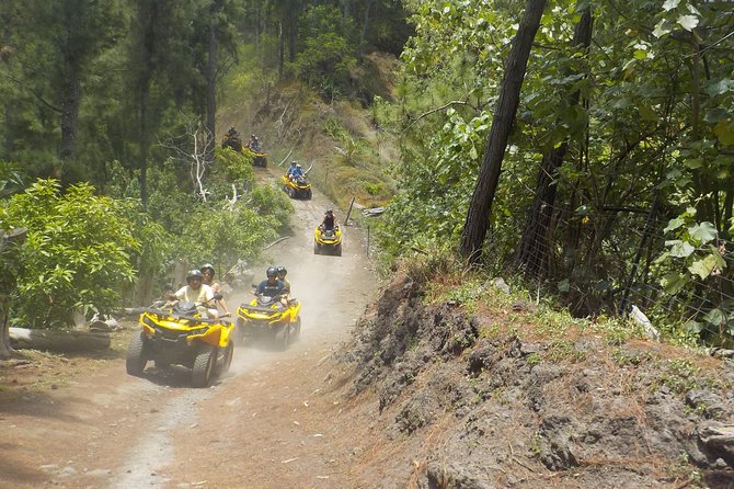 Grand Tour Quad Excursion in Moorea (Single or Two-Seater) - Who should book this quad excursion?