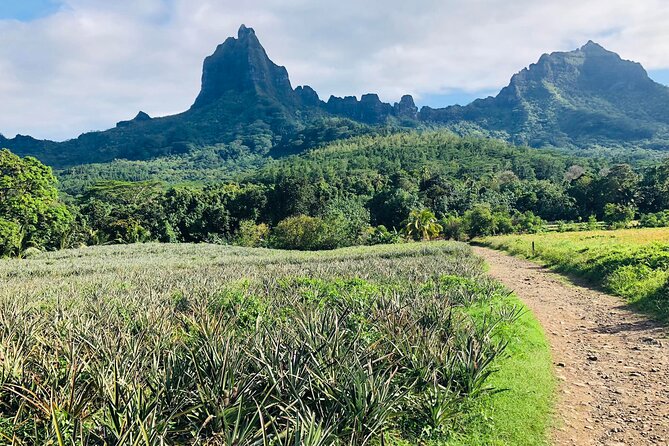 Guided Excursion in 4x4 in Moorea between Land and Sea - Why This Tour Works for a First Day on Moorea