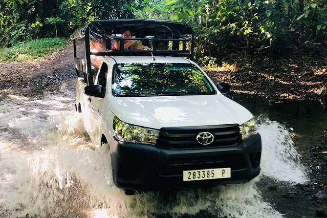 Guided Excursion in 4x4 in Moorea between Land and Sea - Lunch at Moorea Tropical Garden Comes With a 360-Degree View