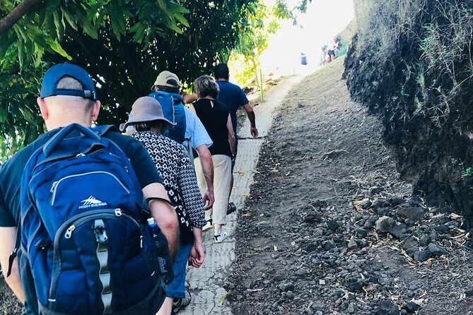 Guided Excursion in 4x4 in Moorea between Land and Sea - Heirani Is the Main Reason to Choose This Excursion